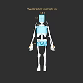 Human Anatomical Limb Structure With Shoulder Posture Not Straight Up