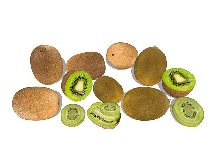 Kiwi fruit 3d model