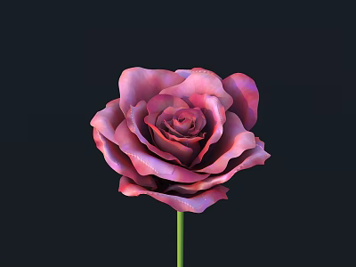 Vibrant Pink and Purple Gradient Rose on Dark Background with Green Stem 3d model