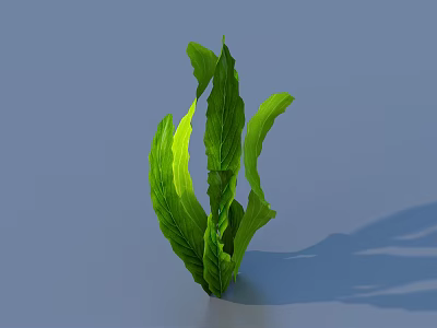 Green Leafy Plant with Curved Leaves on Light Blue Background and Soft Shadow 3d model