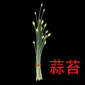 Fresh Garlic Scapes Bunch With Green Stems And Young Buds Healthy Cooking Ingredient