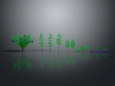Green Plants of Various Sizes and Shapes Against Grey Background with Reflections 3d model