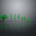 Green Plants of Various Sizes and Shapes Against Grey Background with Reflections