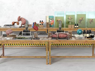 Industrial LOFT experimental equipment dissection room 3d model Industrial LOFT experimental equipment dissection room 3d model