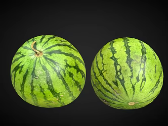 Watermelon Scanning Watermelon Realistic Watermelon Fruit 3d model