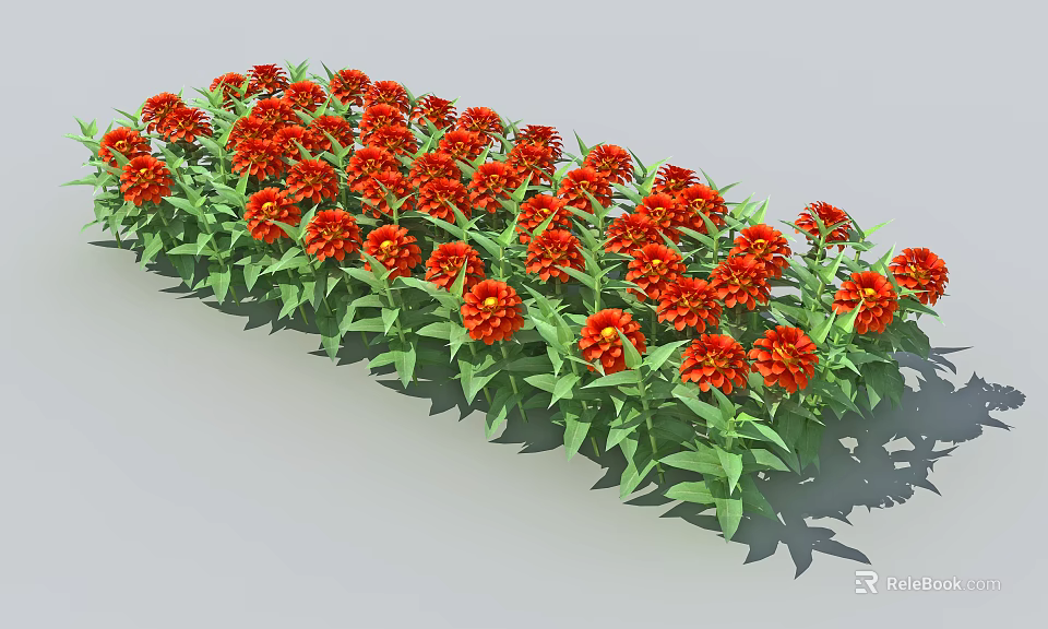 Vibrant Red Flower Row With Lush Green Leaves In Garden Landscape 3d model 