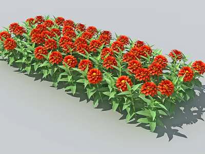 Vibrant Red Flower Row With Lush Green Leaves In Garden Landscape 3d model