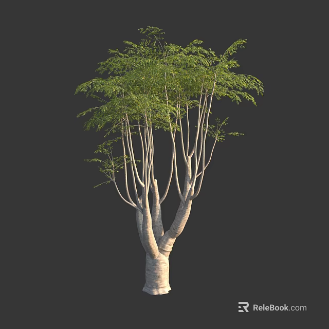 Arbor With Multiple Trunks And Lush Green Foliage Against Dark Background 3d model 