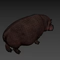 Realistic Hippopotamus Figure Standing Still With Long Shadow On Gray Background