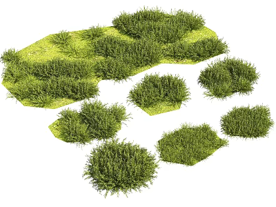 Green Ground Cover With Lush Foliage And Different Natural Shapes 3d model