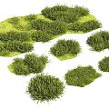 Green Ground Cover With Lush Foliage And Different Natural Shapes