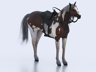 3D Rendered Brown And White Horse With Black Saddle Standing On White Background 3d model