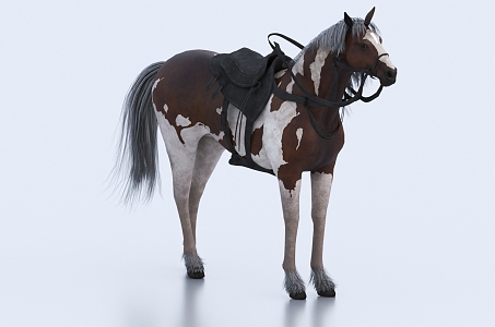 horse galloping horse 3d model