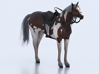 horse galloping horse 3d model