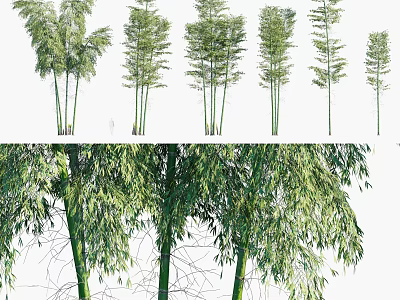 Various Bamboo Plants With Different Heights And Green Leaves For Garden Landscaping 3d model