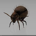 Realistic Brown Ant With Spiky Back Hairs Long Antennae And Slender Legs