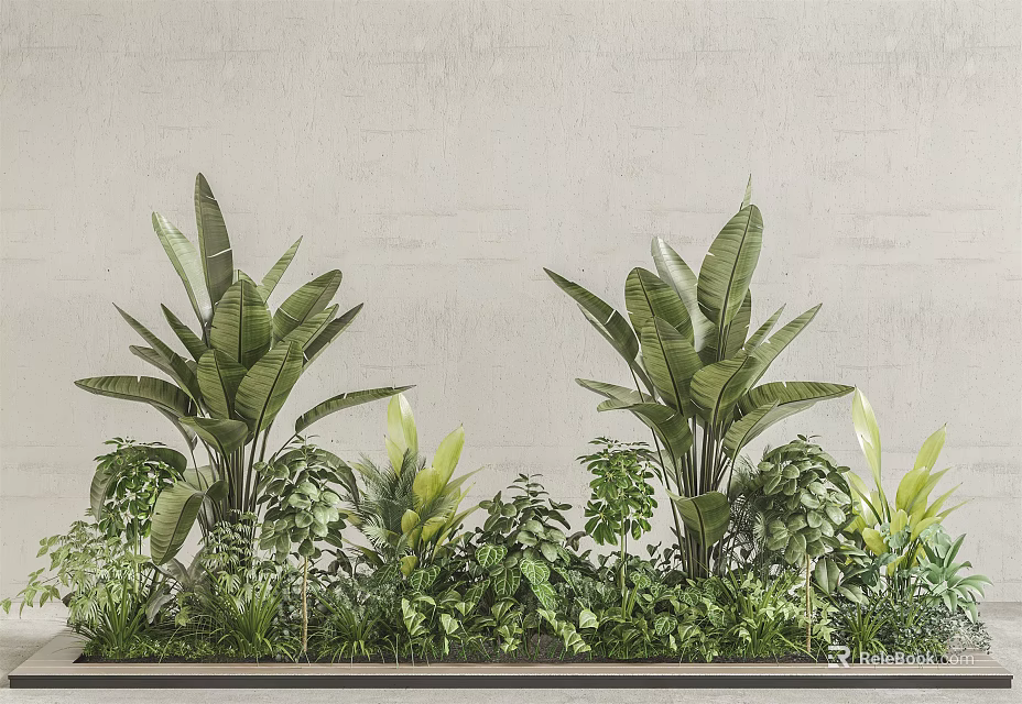 Tall Green Plants With Large Leaves And Low Growing Foliage Arrangement Against Gray Wall 3d model 