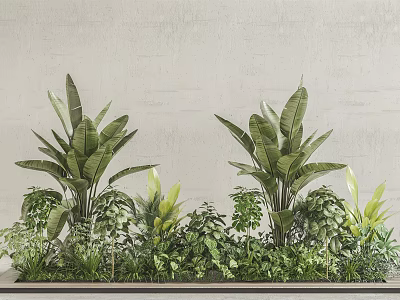 Tall Green Plants With Large Leaves And Low Growing Foliage Arrangement Against Gray Wall 3d model