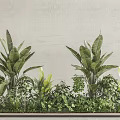 Tall Green Plants With Large Leaves And Low Growing Foliage Arrangement Against Gray Wall