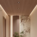 Modern Entryway With Wooden Ceiling Marble Wall And Plant 3d model
