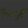 Green Vines With Twisted Branches And Lush Leaves On Black Background With Reflection