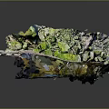 Natural Wooden And Stone Material With Green Textured Surface And Organic Design Elements