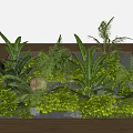 Lush Courtyard Garden with Tropical Plants Ferns Palm Leaves Stones Moss and Circular Decor