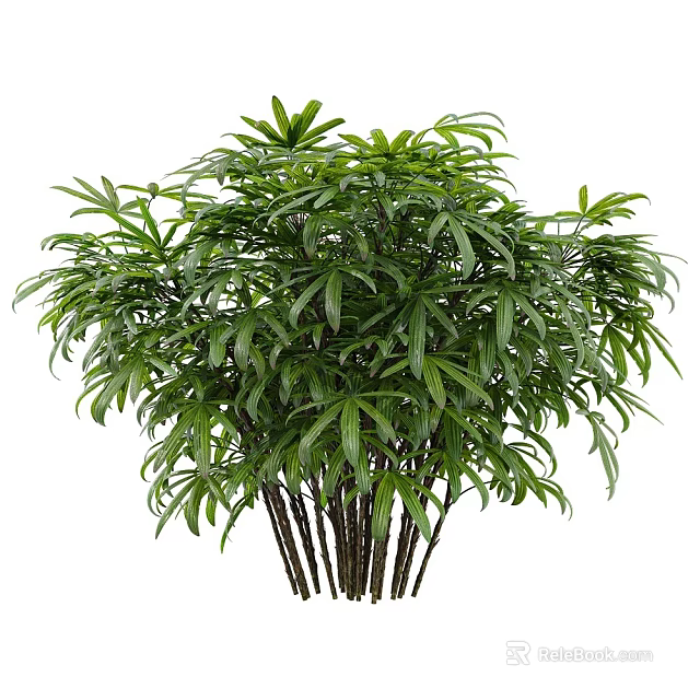 Lush Green Shrub with Dense Healthy Leaves and Multiple Thin Strong Stems 3d model 