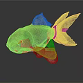 Decorative Green Red Textured Fish With Detailed Fins And Artistic Tail
