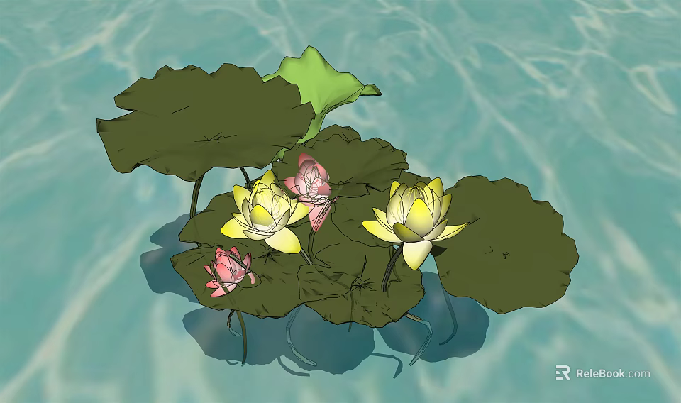 Beautiful Lotus Flowers With Pink And Yellow Blooms And Green Leaves Floating On Water 3d model 