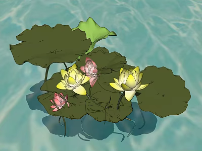 Beautiful Lotus Flowers With Pink And Yellow Blooms And Green Leaves Floating On Water 3d model