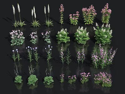 Various Colorful Flowers And Plants With White Pink Purple Blooms And Green Leaves Neatly Arranged 3d model