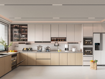 Modern Kitchen model