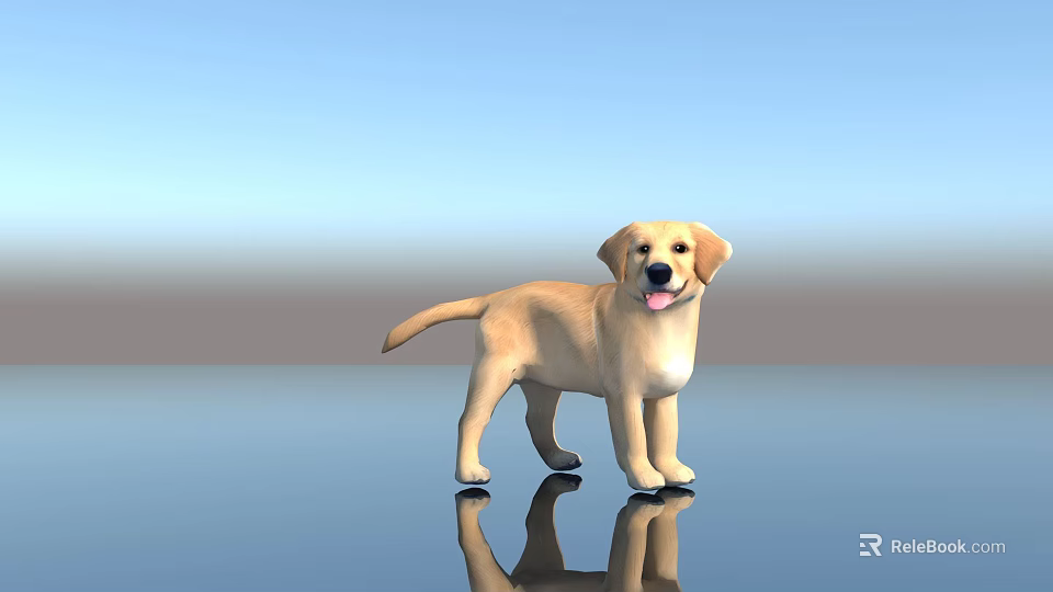 Yellow Labrador Retriever Standing On Shiny Floor With Blue Sky Background 3d model 