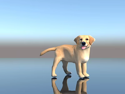 Yellow Labrador Retriever Standing On Shiny Floor With Blue Sky Background 3d model