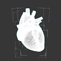 3D Rendered Human Heart Anatomical Structure As Chest Organ With Blood Vessels