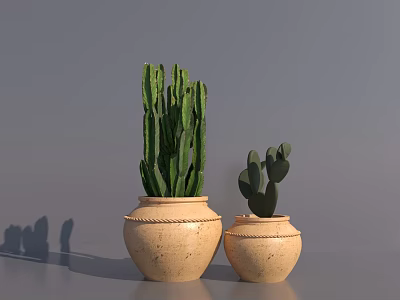 Bonsai Potted Cacti in Beige Ceramic Pots with Braided Edges on Gray Background with Shadows 3d model