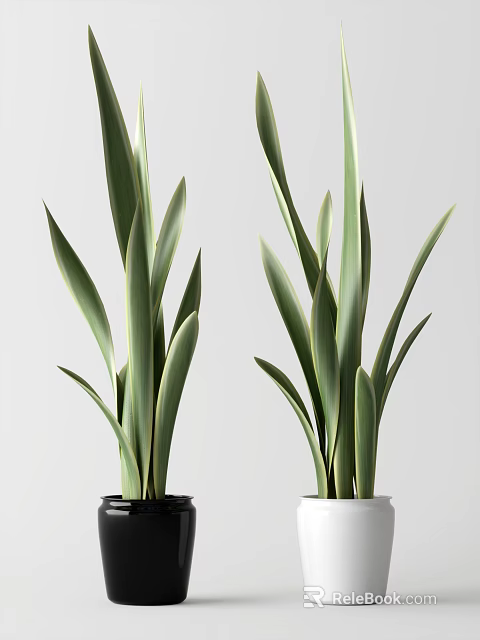 Indoor Potted Plant With Long Green Leaves And Minimalist Black Pot For Modern Home Decor 3d model 