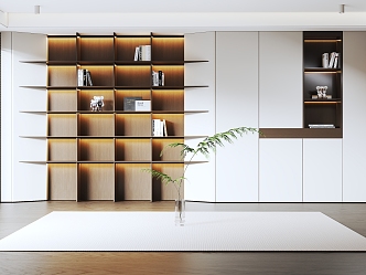 Modern bookcase 3d model