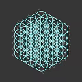 Intricate Sacred Geometry Pattern With Interlocking Circles White Lines On Black Background