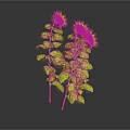 Two Sunflowers With Yellow Blooms Green Leaves Stems And Reflection On Dark Background