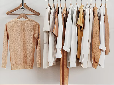 Stylish Wooden Clothes Hangers Holding Various Neutral Toned Sweaters And Shirts 3d model
