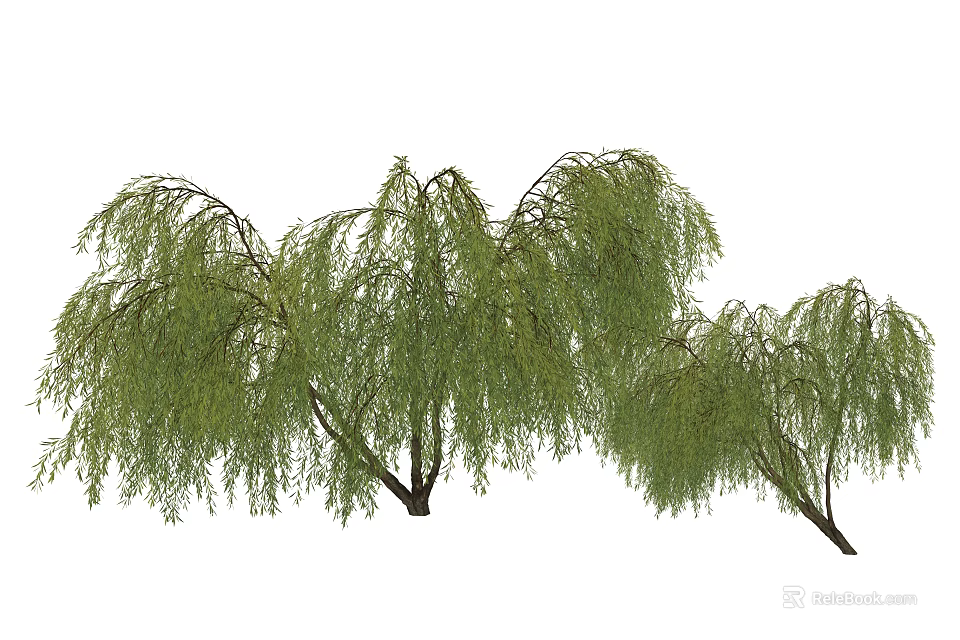 Weeping Arbor With Lush Green Leaves And Graceful Hanging Branches 3d model 