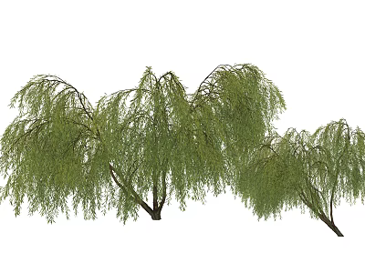 Weeping Arbor With Lush Green Leaves And Graceful Hanging Branches 3d model