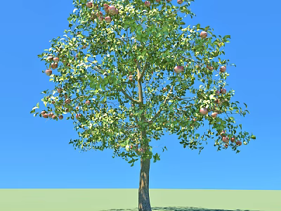 Fruit Bearing Arbor With Lush Green Leaves And Ripe Fruits Against Blue Sky Grass Field 3d model