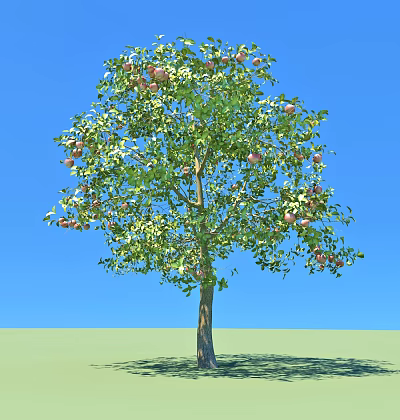 Fruit Bearing Arbor With Lush Green Leaves And Ripe Fruits Against Blue Sky Grass Field 3d model