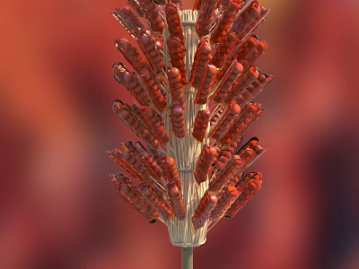 Red Grilled Shrimp Skewers Arranged On Bamboo Sticks For Serving 3d model