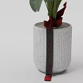 Bonsai Plant With Lush Green Leaves In Gray Pot For Indoor Home Decor