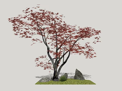 Red Leaved Tree with Black Trunks Surrounded by Stones and Green Grass 3d model