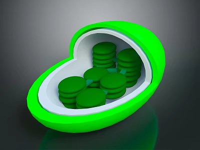 Medical Device Green Oval Container Holding Multiple Circular Green Components 3d model